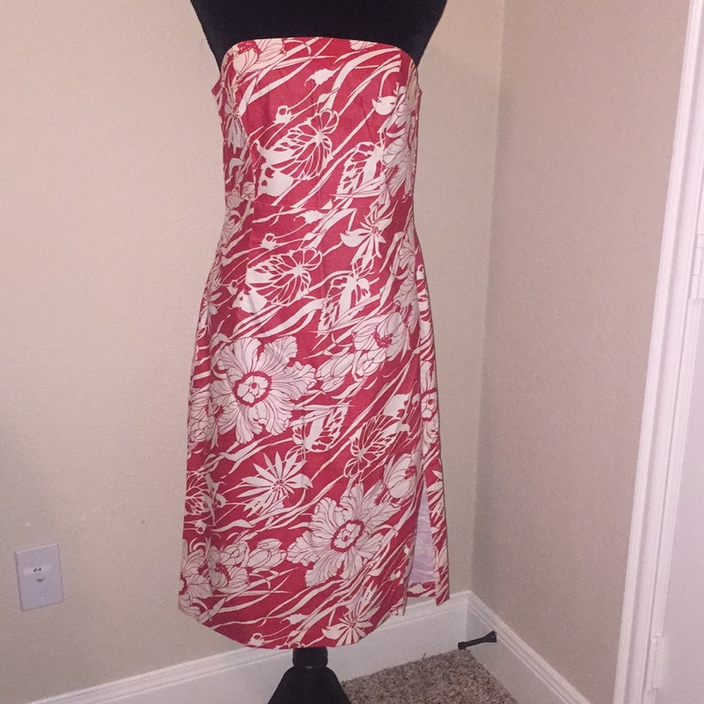 Express Sretch Strapless Dress